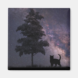 Aimant Chat de nuit