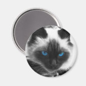 Aimant Chat de Siamese (Recto/Verso)