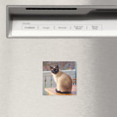 Aimant Chat de Siamese (In Situ (Lave-vaisselle))