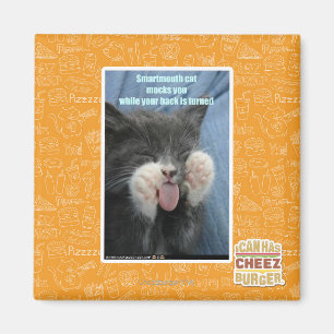 Aimant Chat de Smartmouth