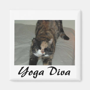 Aimant Chat de Yoga