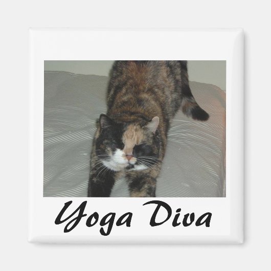 Aimant Chat de Yoga (Devant)