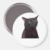 Aimant Chat déconnecté, déconnecté (Recto/Verso)