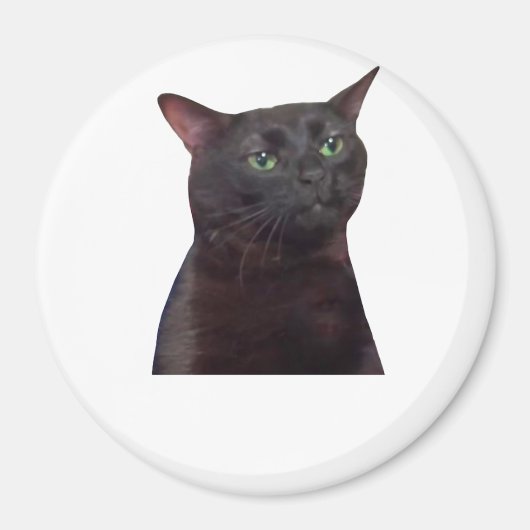Aimant Chat déconnecté, déconnecté (Devant)