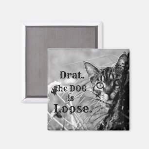 Aimant Chat Derrière l'arbre, Drat, le chien est perdu. M