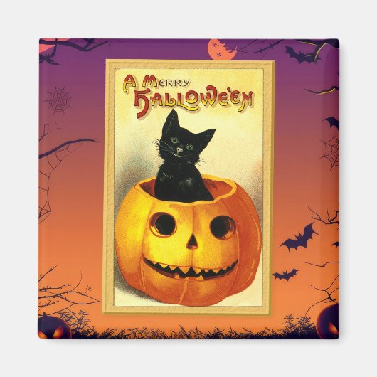 Aimant Chat d'Halloween assis dans une citrouille vintage (Devant)