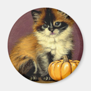 Aimant Chat d'Halloween Ragdoll vintage