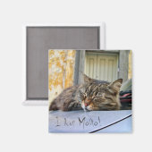Aimant Chat dormant sur une voiture (Recto/Verso)