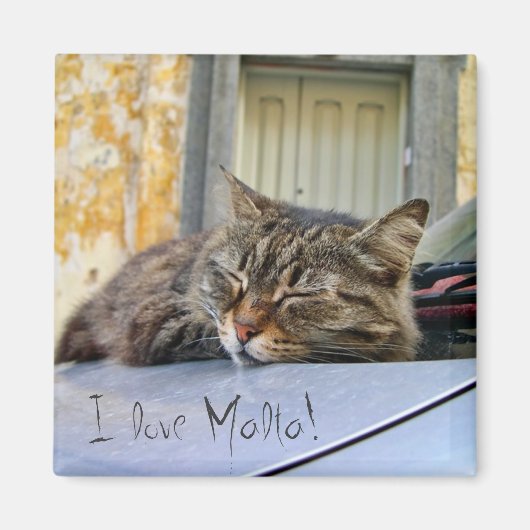 Aimant Chat dormant sur une voiture (Devant)