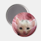 Aimant Chat doux (Recto/Verso)