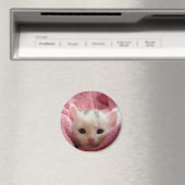 Aimant Chat doux (In Situ (Lave-vaisselle))