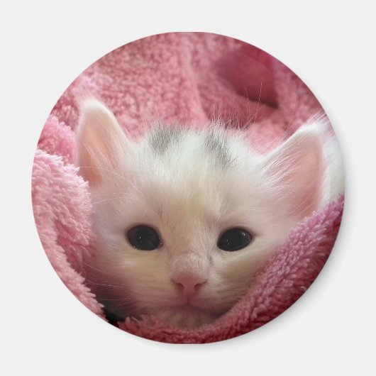 Aimant Chat doux (Devant)