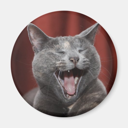 Aimant Chat drôle (Devant)