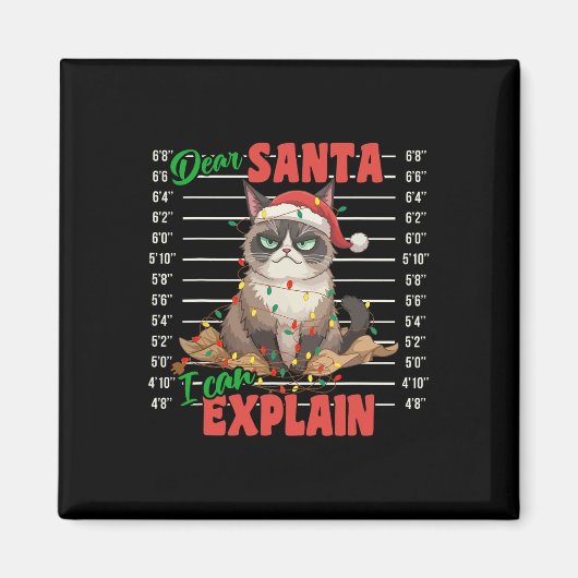 Aimant Chat Drôle Mugshot Cher Père Noël Je Peux Explique (Devant)
