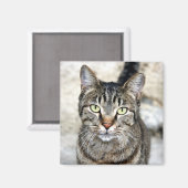 Aimant Chat égyptien (Recto/Verso)