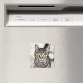 Aimant Chat égyptien (In Situ (Lave-vaisselle))