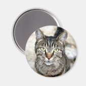 Aimant Chat égyptien (Recto/Verso)