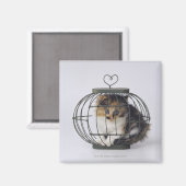 Aimant Chat en cage (Recto/Verso)