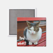 Aimant Chat en colère (Recto/Verso)