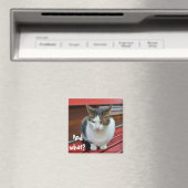 Aimant Chat en colère (In Situ (Lave-vaisselle))
