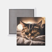 Aimant Chat Endormi (Recto/Verso)