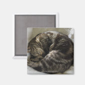 Aimant Chat endormi (Recto/Verso)