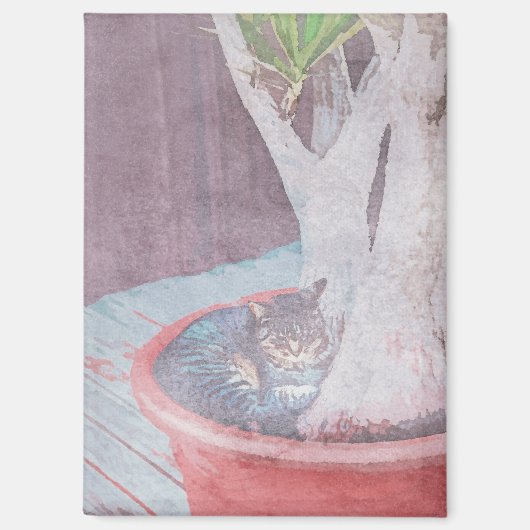 Aimant Chat endormi (Recto)