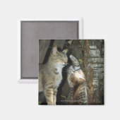 Aimant Chat et chaton par arbre (Recto/Verso)