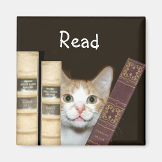 Aimant Chat et livres