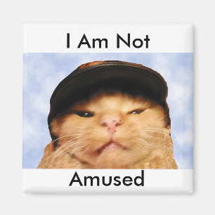 Aimant Chat grincheux