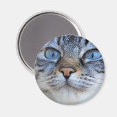 Aimant Chat gris (Recto/Verso)