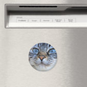 Aimant Chat gris (In Situ (Lave-vaisselle))
