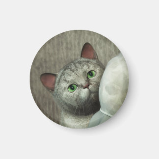 Aimant Chat Gris 1