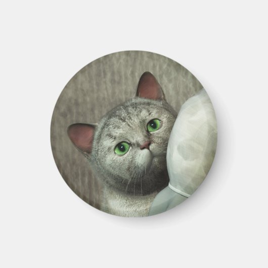 Aimant Chat Gris 1 (Devant)