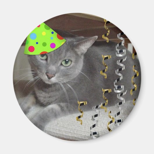 Aimant Chat gris animal de fête (Devant)
