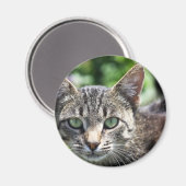 Aimant Chat Gris avec yeux verts (Recto/Verso)