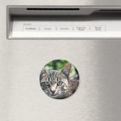 Aimant Chat Gris avec yeux verts (In Situ (Lave-vaisselle))