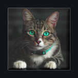 Aimant Chat gris et blanc avec yeux bleus et collier corr<br><div class="desc">Nos félins furieux et amicaux nous font nous sentir mieux quand nous ne nous sentons pas nous-mêmes. Ce chat adorable passe juste le temps jusqu'à ce qu'il soit nécessaire,  portant un collier bleu turquoise assorti à ses yeux numériquement édités.</div>