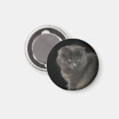 Aimant Chat gris Long Cheveux Russe Bleu Kitty Kitten Mig (Recto/Verso)