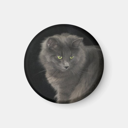 Aimant Chat gris Long Cheveux Russe Bleu Kitty Kitten Mig (Devant)