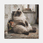 Aimant Chat himalayen et Pixie Réveil Surprise (Devant)