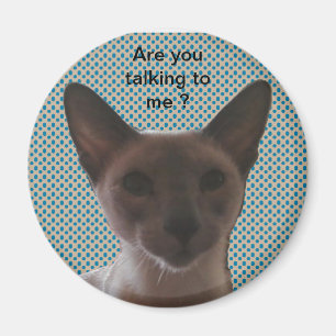 Aimant Chat idiot siamois