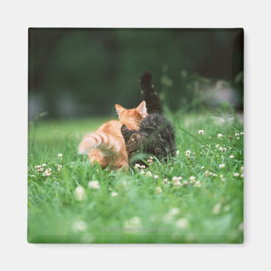 Aimant Chat japonais 4 (Devant)