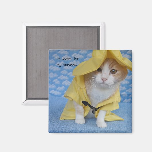 Aimant Chat/Kitty en nacelle jaune (Recto/Verso)