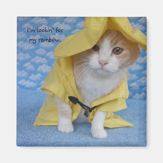 Aimant Chat/Kitty en nacelle jaune (Devant)