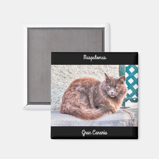 Aimant Chat Maspalomas (Recto/Verso)