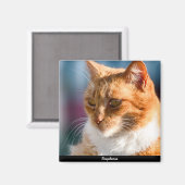 Aimant Chat Maspalomas (Recto/Verso)