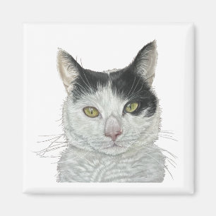 Aimant Chat mignon