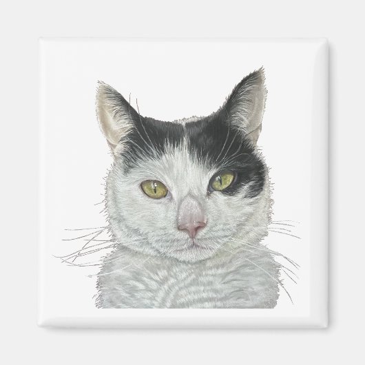 Aimant Chat mignon (Devant)