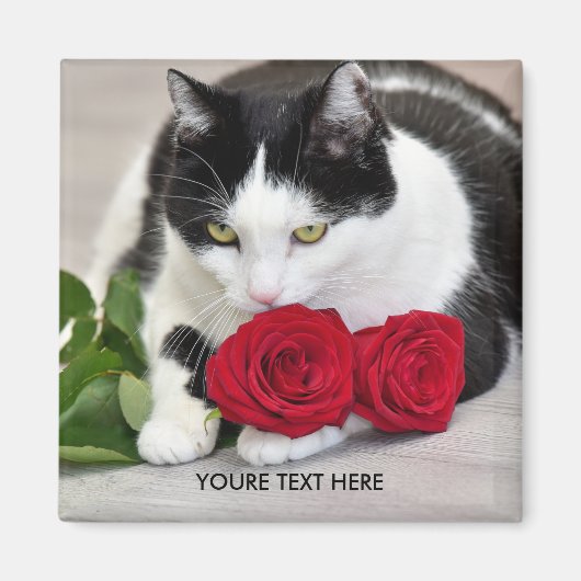 Aimant Chat mignon avec la rose rouge (Devant)